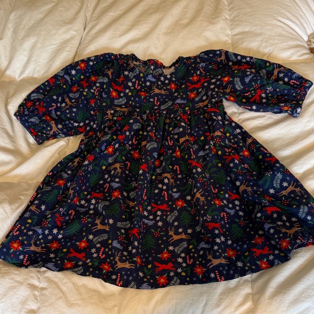 Hanna Andersson Navy Woodland Print Dress with Red & Green Accents